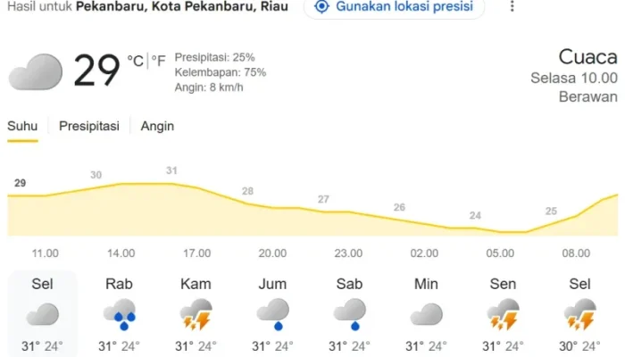 Cuaca Pekanbaru Hari Ini: Langit Berawan, Suhu 29°C, Warga Diimbau Waspada Gerimis Lokal