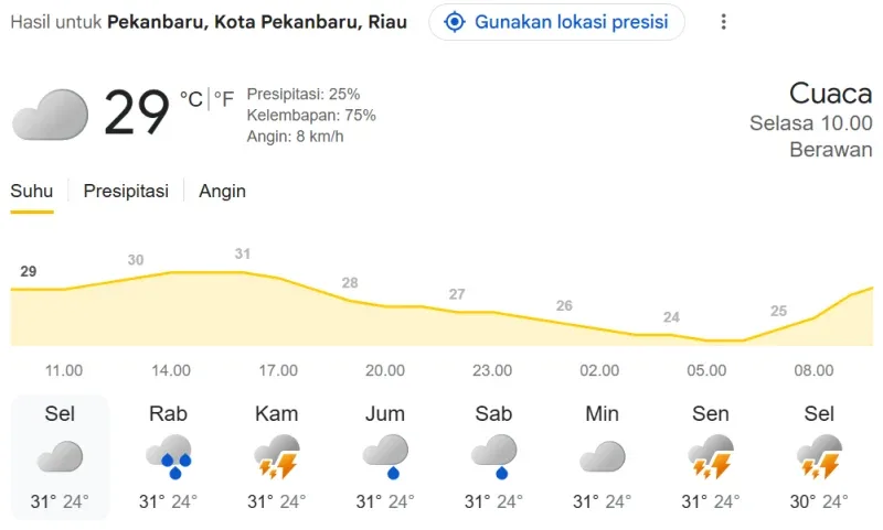 Cuaca Pekanbaru Hari Ini: Langit Berawan, Suhu 29°C, Warga Diimbau Waspada Gerimis Lokal