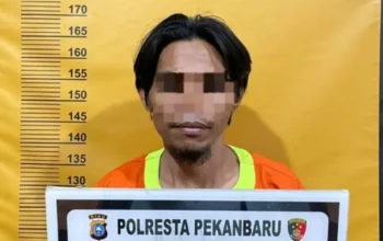 Puluhan Pot Bunga Kota Pekanbaru Raib Dicuri, Polresta Tangkap Pelaku Utama