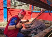 Buaya Raksasa 5,7 Meter di Inhil Masih Dirawat, Luka Ikatan Tali Alami Infeksi