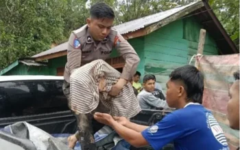 Korban Meninggal Bencana Taput Bertambah Jadi 23 Orang, Delapan Jasad Baru Berhasil Dievakuasi