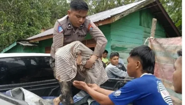 Korban Meninggal Bencana Taput Bertambah Jadi 23 Orang, Delapan Jasad Baru Berhasil Dievakuasi