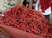 Pasokan Terganggu Akibat Bencana, Harga Cabai di Siak Melonjak Tajam