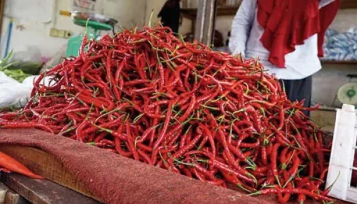 Pasokan Terganggu Akibat Bencana, Harga Cabai di Siak Melonjak Tajam