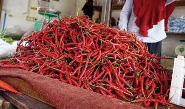 Pasokan Terganggu Akibat Bencana, Harga Cabai di Siak Melonjak Tajam