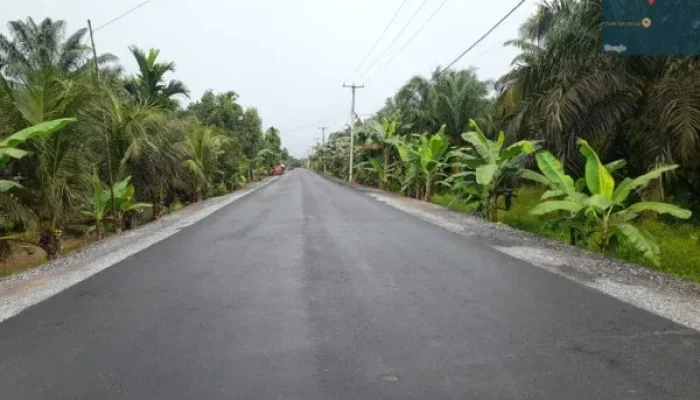 INPEST Laporkan Peningkatan Jalan Provinsi di Inhil, Waktu Tempuh Kini Jauh Lebih Cepat