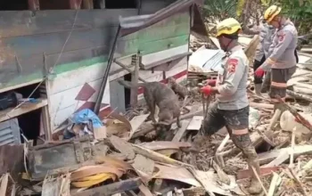Unit K-9 Temukan Jenazah di Lokasi Bencana Batang Toru