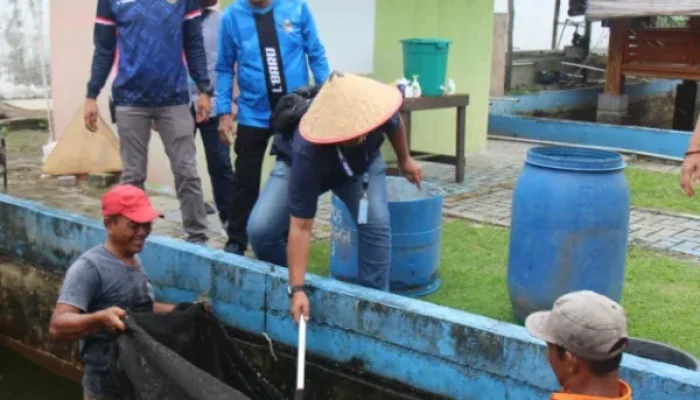 Lapas Pekanbaru Panen 2 Ton Ikan Patin, Program Pembinaan Warga Binaan Berjalan Efektif