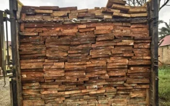 Dua Pengangkut Kayu Ilegal Dibekuk di Ujung Batu, Polisi Buru Pemesan dan Pemilik Gudang