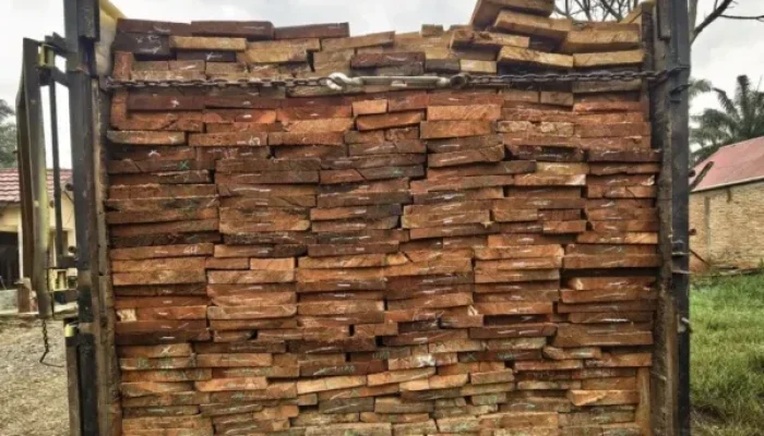 Dua Pengangkut Kayu Ilegal Dibekuk di Ujung Batu, Polisi Buru Pemesan dan Pemilik Gudang