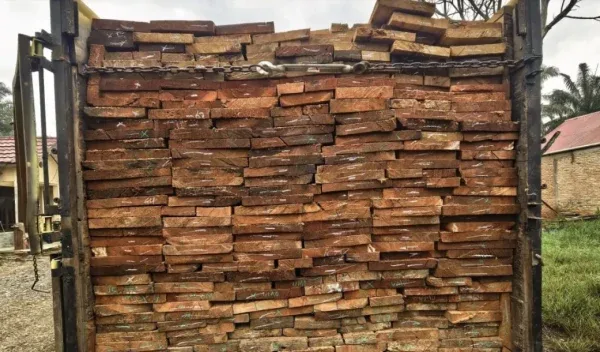 Dua Pengangkut Kayu Ilegal Dibekuk di Ujung Batu, Polisi Buru Pemesan dan Pemilik Gudang