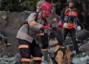 Video Haru Petugas SAR Aceh Beri Minum Anjing K-9 di Tengah Bencana, Simbol Kesetiaan dan Kemanusiaan