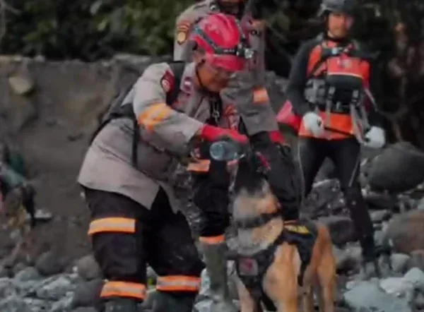 Video Haru Petugas SAR Aceh Beri Minum Anjing K-9 di Tengah Bencana, Simbol Kesetiaan dan Kemanusiaan