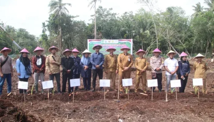 Antisipasi Krisis Pangan, Desa Kembung Baru Tanam Serentak Ubi Kayu dan Keladi