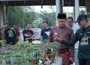 Pesona Bonsai di Pekanbaru Gaungkan Cinta Alam dan Green Policing