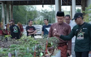 Pesona Bonsai di Pekanbaru Gaungkan Cinta Alam dan Green Policing