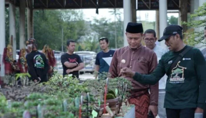 Pesona Bonsai di Pekanbaru Gaungkan Cinta Alam
