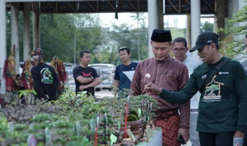 Pesona Bonsai di Pekanbaru Gaungkan Cinta Alam dan Green Policing