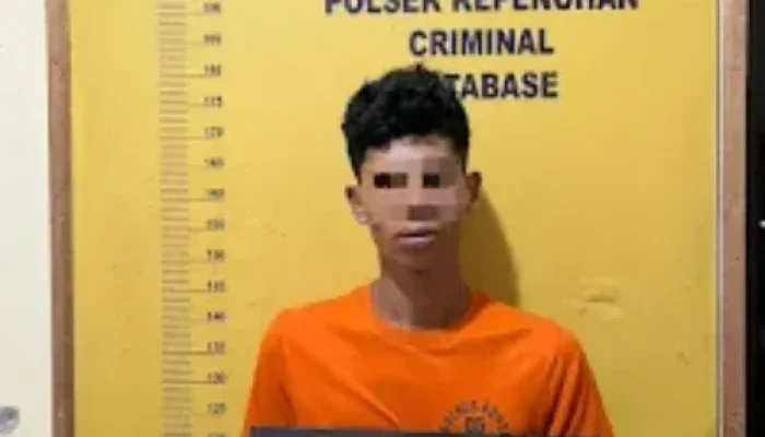 Aksi Curi Sawit Digagalkan Warga, Residivis Diamankan Polisi