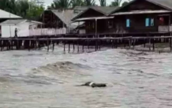 Mayat Pria Misterius Ditemukan di Rangsang Pesisir, Polisi Lakukan Penyelidikan