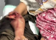 Buaya Sungai Rokan Kembali Menyerang, Pekerja Sawit Asal Tanah Putih Jadi Korban