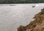 Sungai Subayang Berstatus Awas, Warga Kampar Kiri Diminta Siaga Banjir