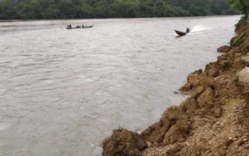 Sungai Subayang Berstatus Awas, Warga Kampar Kiri Diminta Siaga Banjir