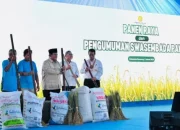 Indonesia Capai Swasembada Pangan 2025, Produksi Beras Cetak Rekor Sejarah