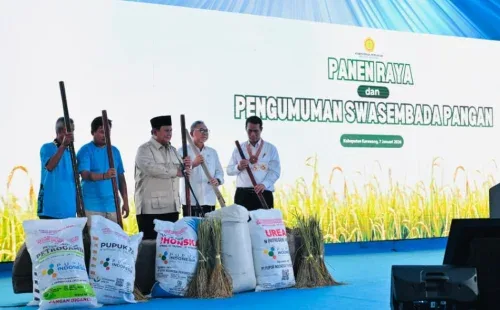 Indonesia Capai Swasembada Pangan 2025, Produksi Beras Cetak Rekor Sejarah