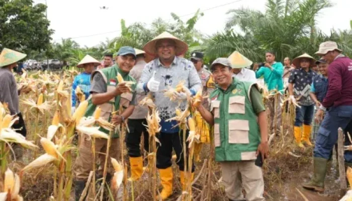 Dukung Swasembada Pangan, Polres Siak dan Pemkab Panen Raya Jagung di Mempura