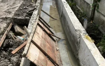 Diduga Bermasalah, Wawako Pekanbaru Perintahkan PUPR Cek Proyek Drainase Bangau Sakti
