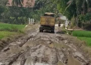 Tambang Pasir Ilegal Sendang Agung-Pubian Lampung Tengah Kembali Beroperasi, Jalan Pringsewu Hancur Parah