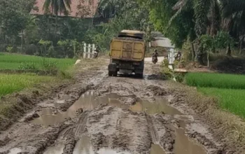Tambang Pasir Ilegal Sendang Agung-Pubian Lampung Tengah Kembali Beroperasi, Jalan Pringsewu Hancur Parah