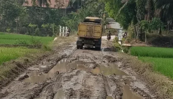 Tambang Pasir Ilegal Aktif Kembali, Jalan Pringsewu Rusak Parah