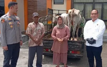 Polisi Bongkar Sindikat Pencurian Sapi di Pringsewu, Satu Pelaku Tewas Usai Melawan Petugas
