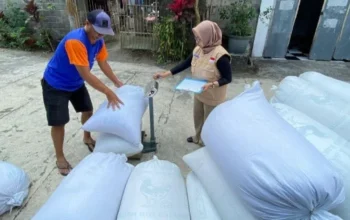 Menjaga Lumbung Negeri, BULOG Yogyakarta Perkuat Swasembada Pangan Nasional