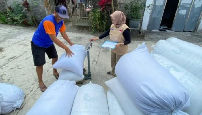 Menjaga Lumbung Negeri, BULOG Yogyakarta Perkuat Swasembada Pangan Nasional