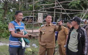 Perluas Program MBG ke Wilayah 3T, Pemko Pekanbaru Bangun Dapur Gizi di Okura