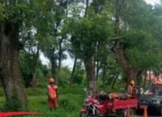 Hari Libur Tetap Bekerja, PU Bina Marga Tambal Jalan Rusak di Jember