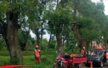 Hari Libur Tetap Bekerja, PU Bina Marga Tambal Jalan Rusak di Jember