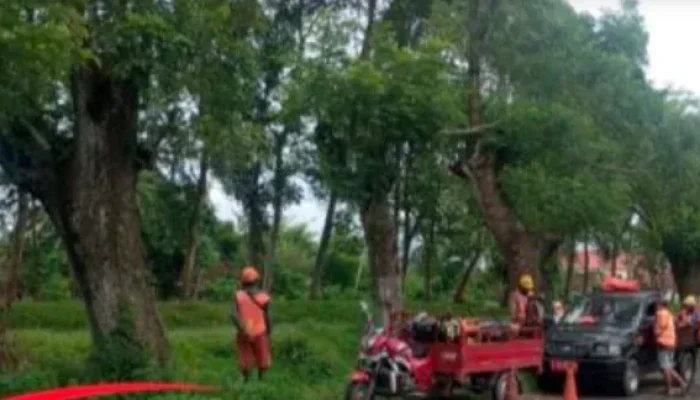 Hari Libur Tetap Bekerja, PU Bina Marga Tambal Jalan Rusak di Jember