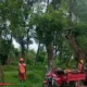Hari Libur Tetap Bekerja, PU Bina Marga Tambal Jalan Rusak di Jember