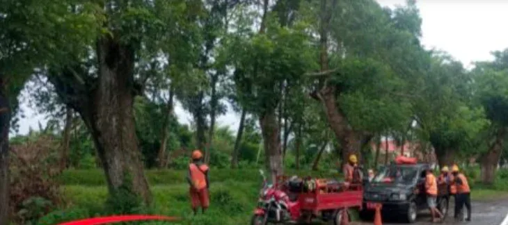 Hari Libur Tetap Bekerja, PU Bina Marga Tambal Jalan Rusak di Jember