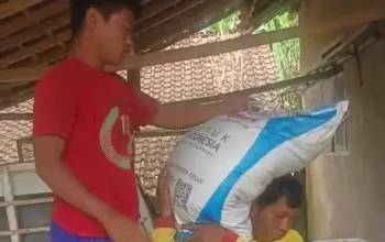 Ketua Gapoktan di Tanggamus Diduga Rampas Ponsel Jurnalis Saat Investigasi Pupuk