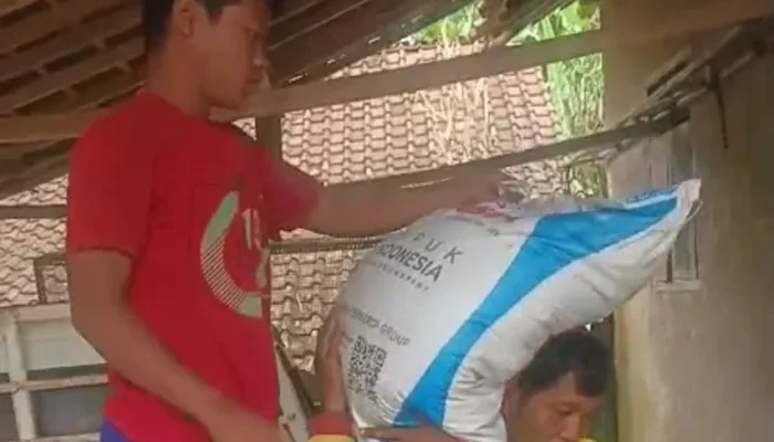 Ketua Gapoktan di Tanggamus Diduga Rampas Ponsel Jurnalis Saat Investigasi Pupuk