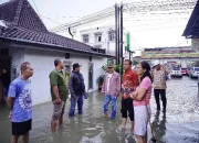 Hujan Deras Picu Banjir di Pringsewu Kota, Bupati Tinjau Sistem Drainase