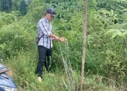 Tambang Emas Diduga Ilegal di Kedondong Kembali Mencuat ke Permukaan, LMPP Pesawaran Desak Penindakan Tanpa Kompromi