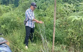 Tambang Emas Diduga Ilegal di Kedondong Kembali Mencuat ke Permukaan, LMPP Pesawaran Desak Penindakan Tanpa Kompromi