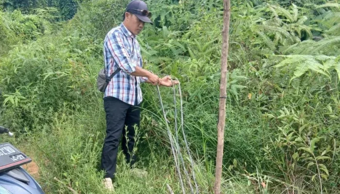 Tambang Emas Diduga Ilegal di Kedondong Kembali Mencuat ke Permukaan, LMPP Pesawaran Desak Penindakan Tanpa Kompromi