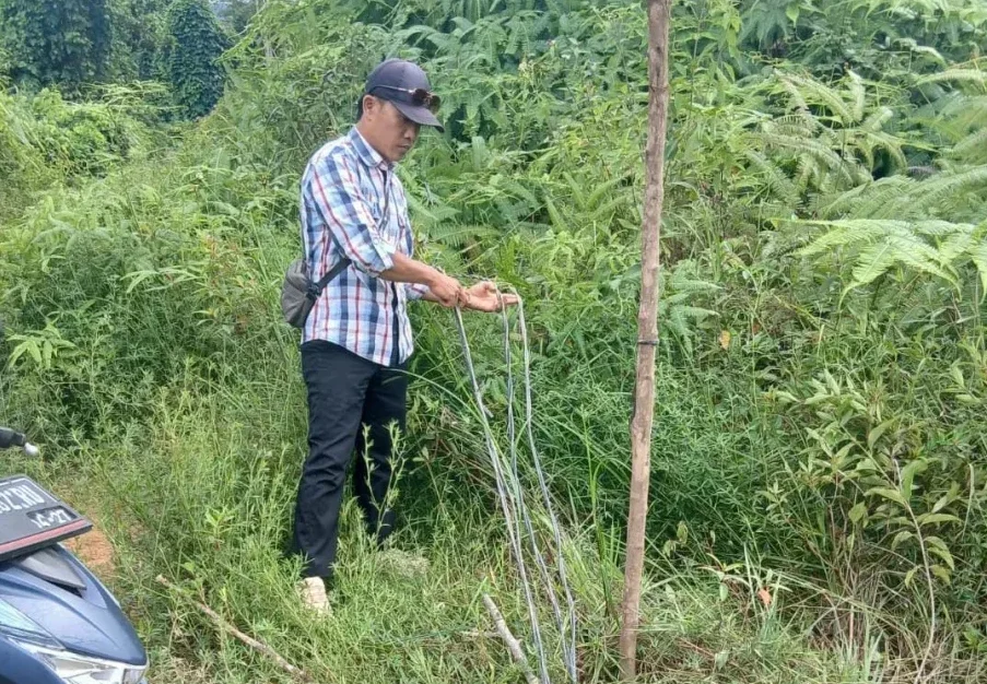 Tambang Emas Diduga Ilegal di Kedondong Kembali Mencuat ke Permukaan, LMPP Pesawaran Desak Penindakan Tanpa Kompromi